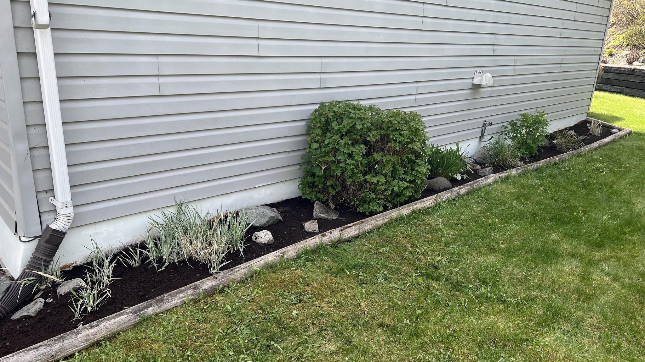 Garden bed weeded and edged cleanly