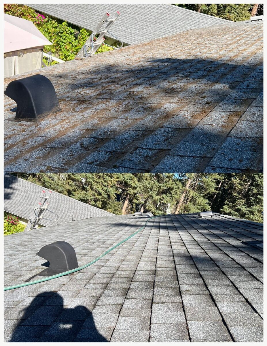 Roof moss removal before and after