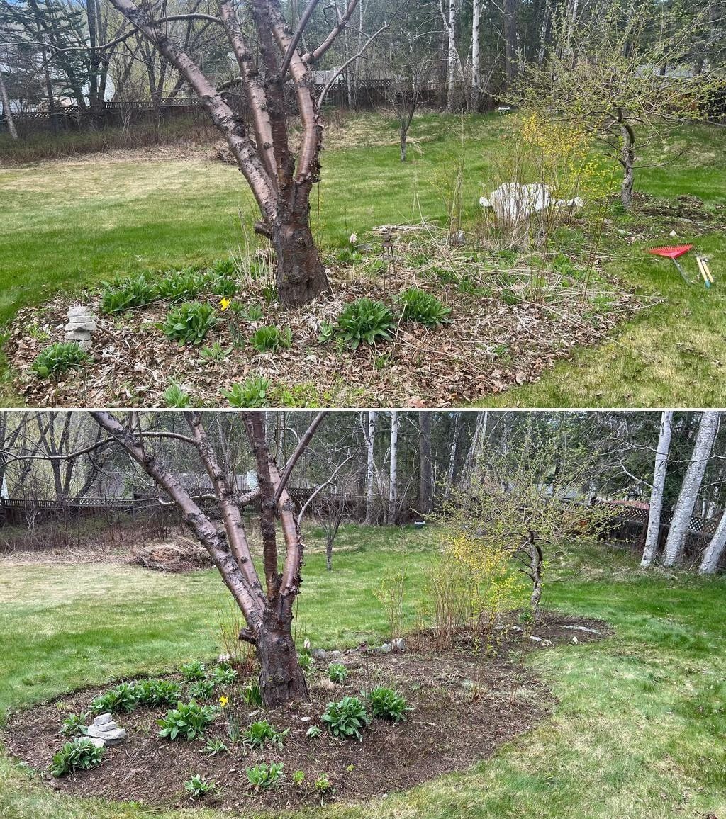 Garden bed with retaining wall — weeded and edged